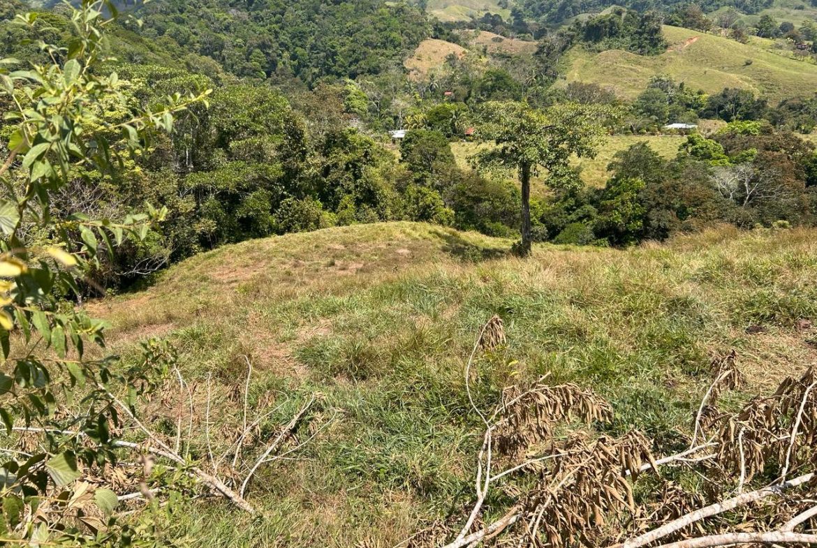 RIVER ACCESS, LEGAL WATER,ELECTRICITY, NATURAL BUILDING SITES – 9 ACRES