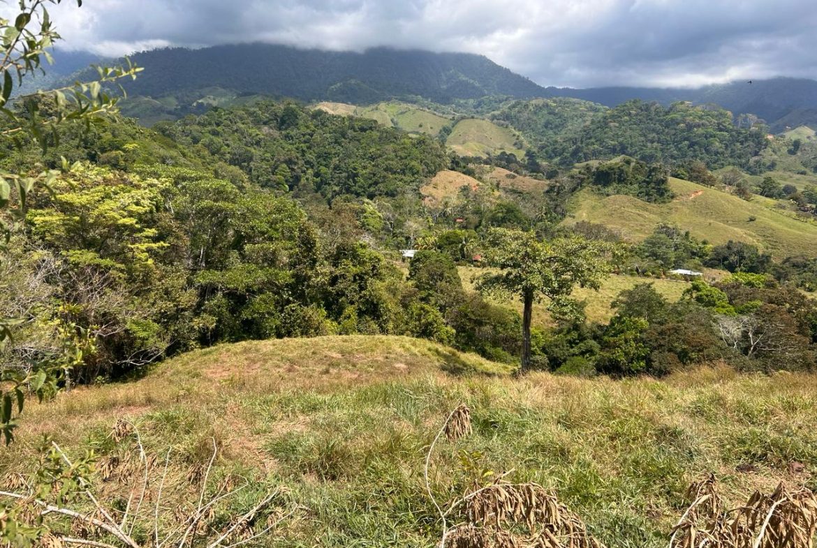 RIVER ACCESS, LEGAL WATER,ELECTRICITY, NATURAL BUILDING SITES – 9 ACRES