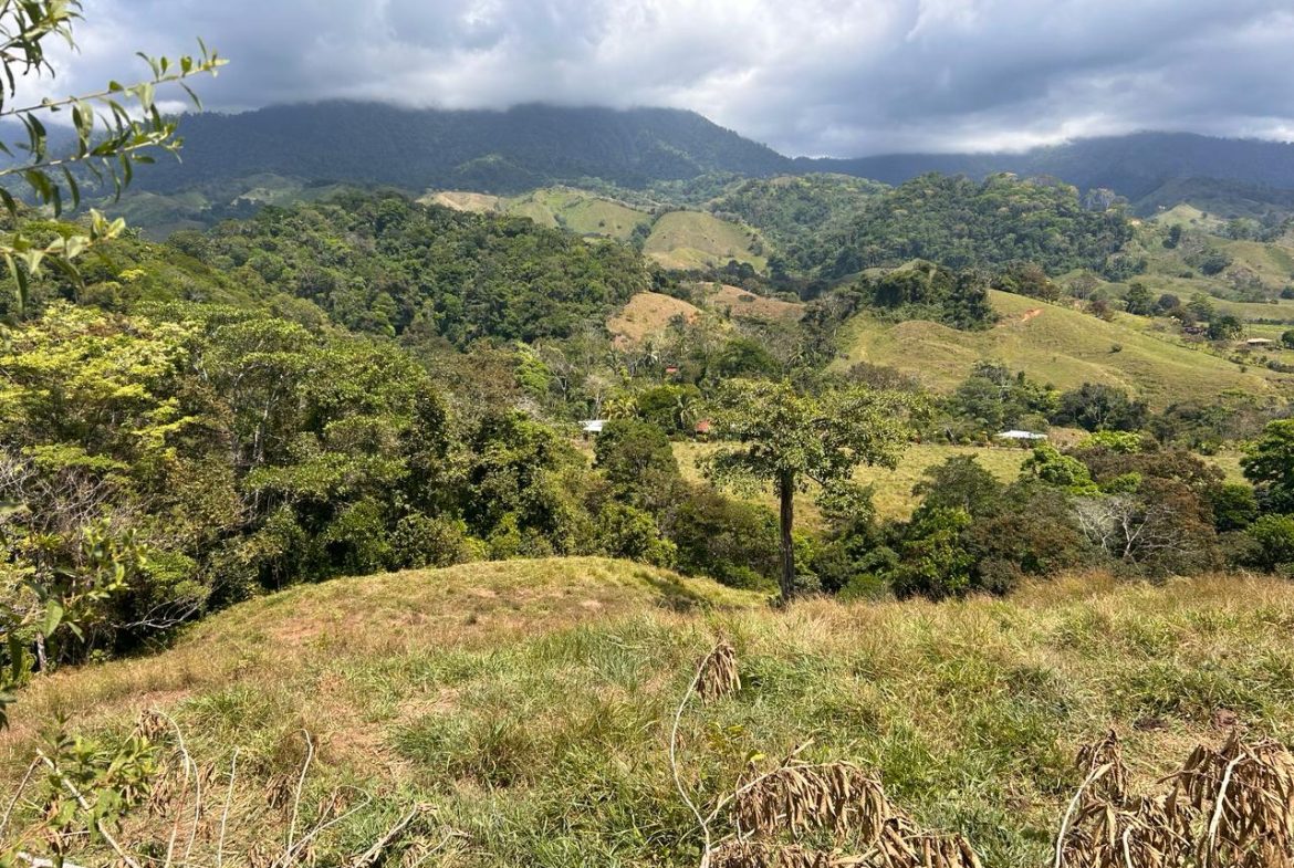 RIVER ACCESS, LEGAL WATER,ELECTRICITY, NATURAL BUILDING SITES – 9 ACRES