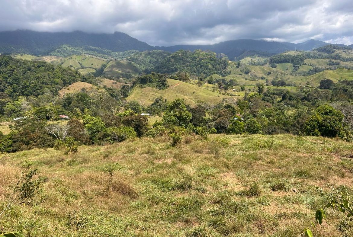 RIVER ACCESS, LEGAL WATER,ELECTRICITY, NATURAL BUILDING SITES – 9 ACRES