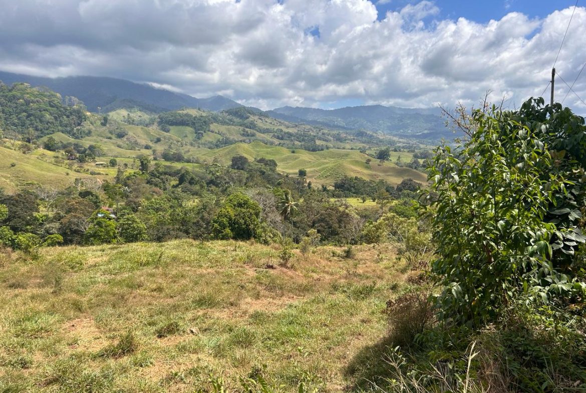 RIVER ACCESS, LEGAL WATER,ELECTRICITY, NATURAL BUILDING SITES – 9 ACRES
