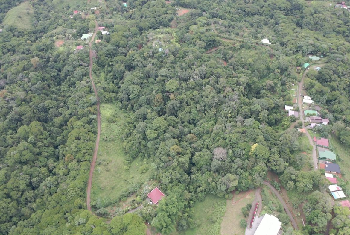 WALKING DISTANCE TO TOWN FORESTED LAND- 7.6 ACRES