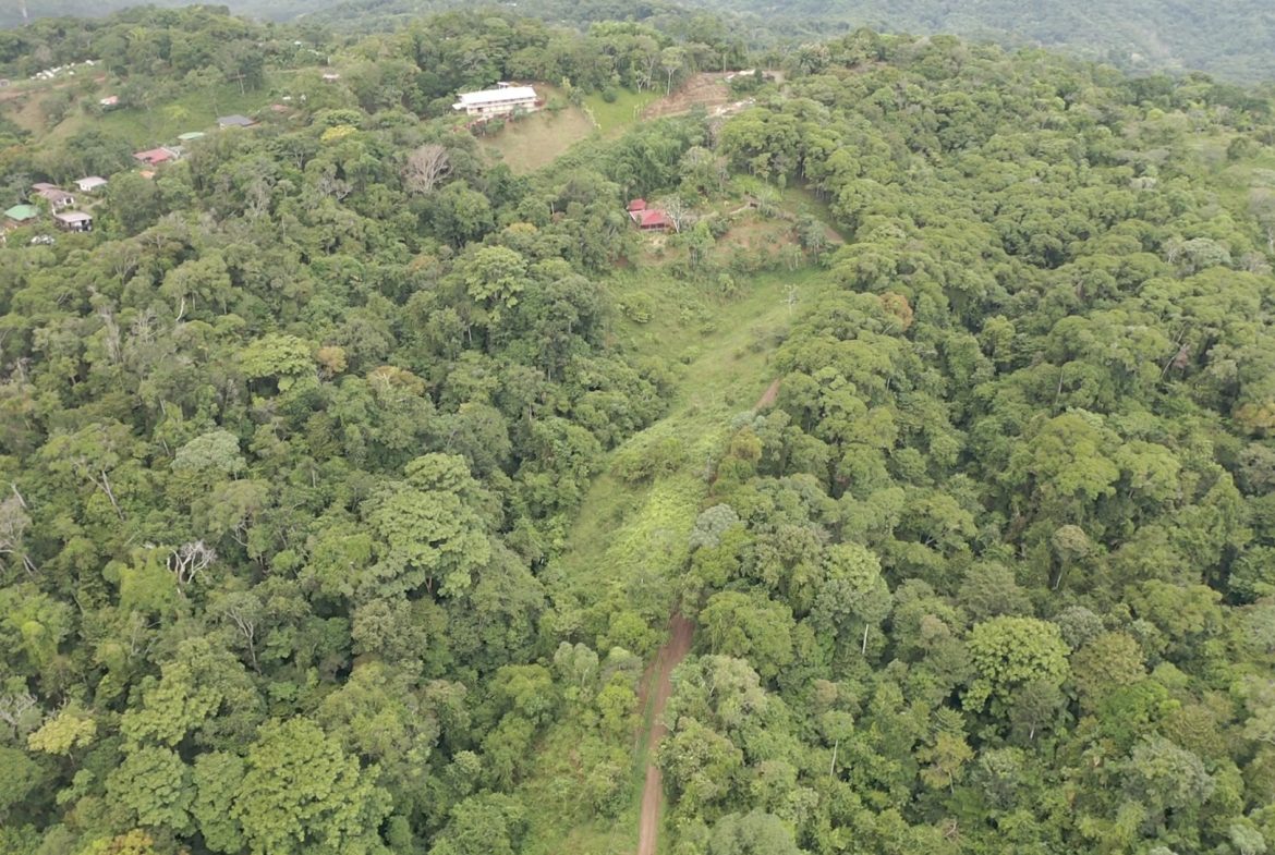 WALKING DISTANCE TO TOWN FORESTED LAND- 7.6 ACRES