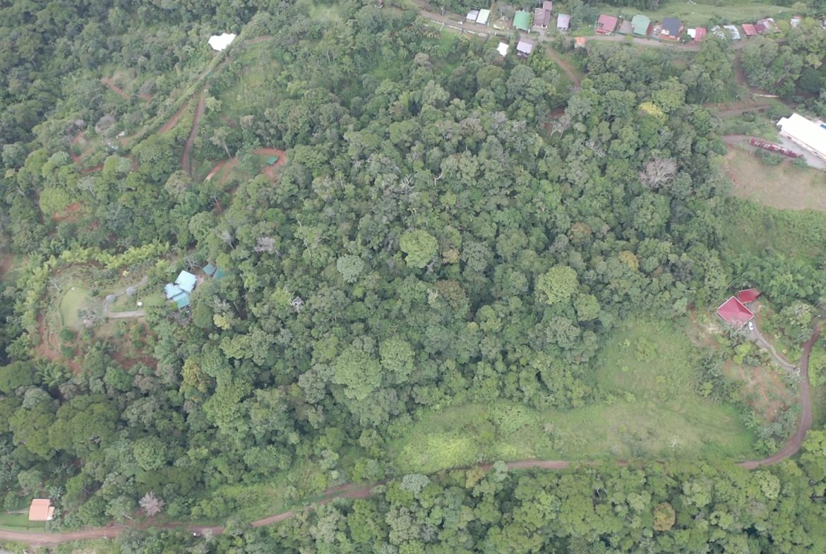 WALKING DISTANCE TO TOWN FORESTED LAND- 7.6 ACRES
