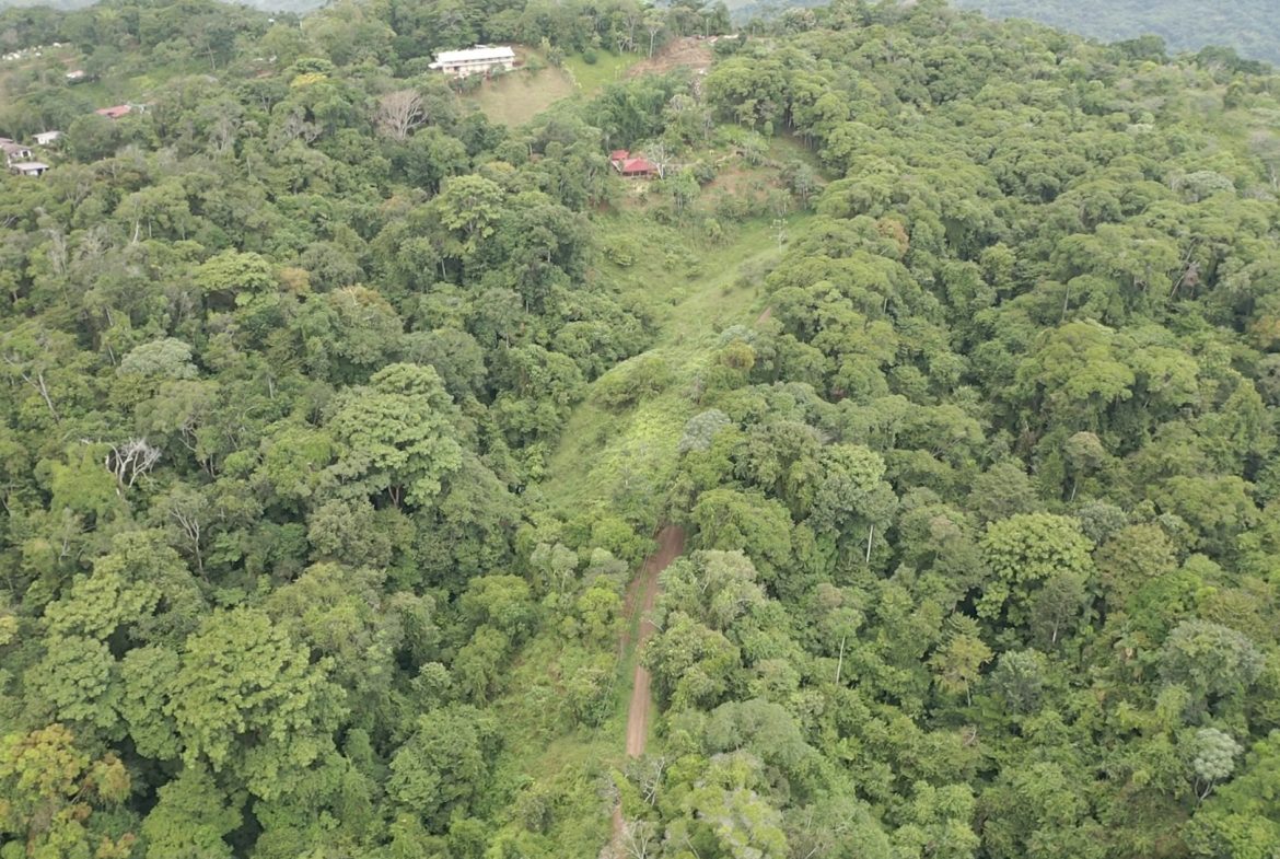 WALKING DISTANCE TO TOWN FORESTED LAND- 7.6 ACRES