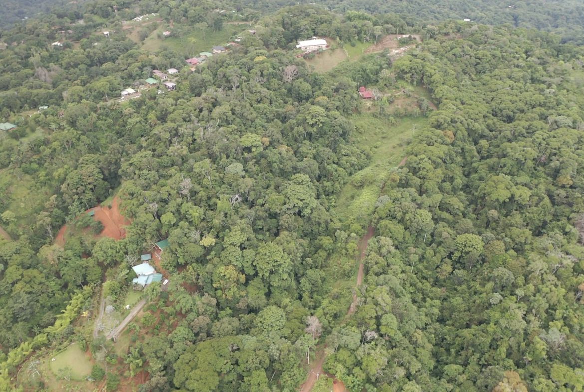 WALKING DISTANCE TO TOWN FORESTED LAND- 7.6 ACRES