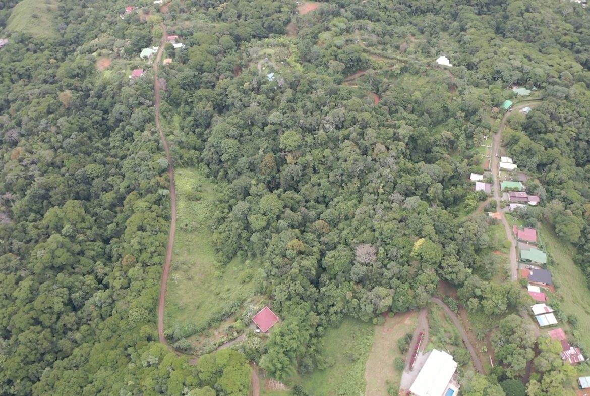 WALKING DISTANCE TO TOWN FORESTED LAND- 7.6 ACRES