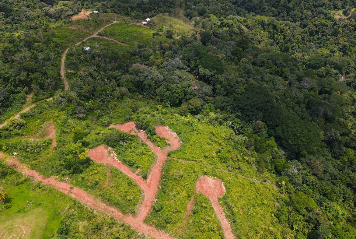 OCEAN VIEW LOTS  WITH OCEAN, JUNGLE AND MOUNTAIN VIEWS IN UVITA