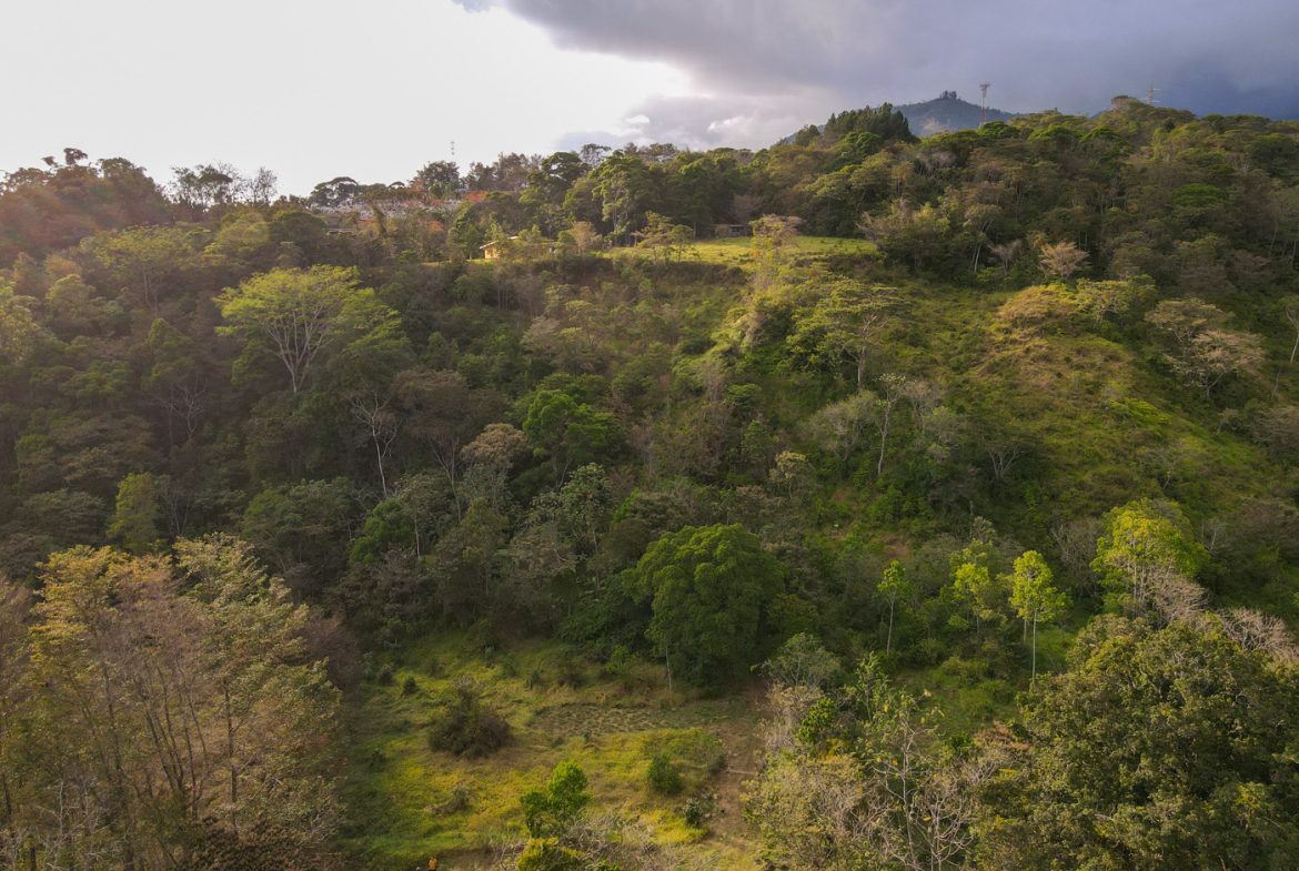 NEWLY BUILT 2 BEDROOM HOME WITH AMAZING MOUNTAIN VIEW, CREEK, RIVER AND FRUIT TREES – 6 ACRES