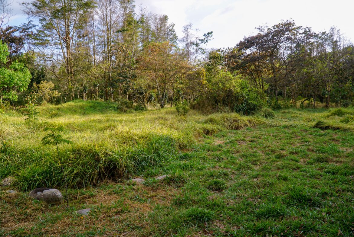 NEWLY BUILT 2 BEDROOM HOME WITH AMAZING MOUNTAIN VIEW, CREEK, RIVER AND FRUIT TREES – 6 ACRES