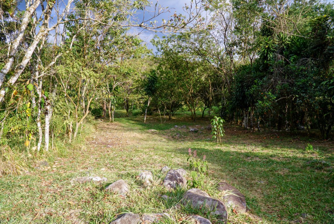 NEWLY BUILT 2 BEDROOM HOME WITH AMAZING MOUNTAIN VIEW, CREEK, RIVER AND FRUIT TREES – 6 ACRES