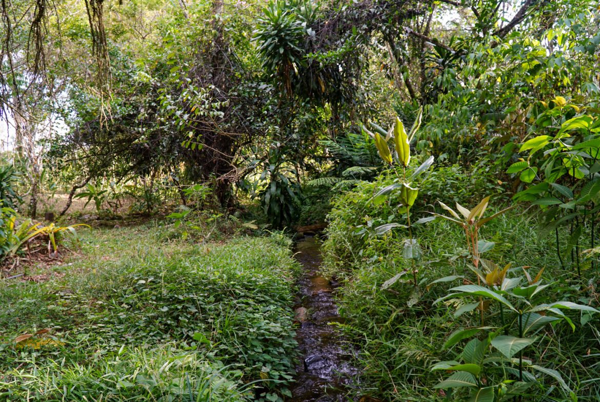 NEWLY BUILT 2 BEDROOM HOME WITH AMAZING MOUNTAIN VIEW, CREEK, RIVER AND FRUIT TREES – 6 ACRES