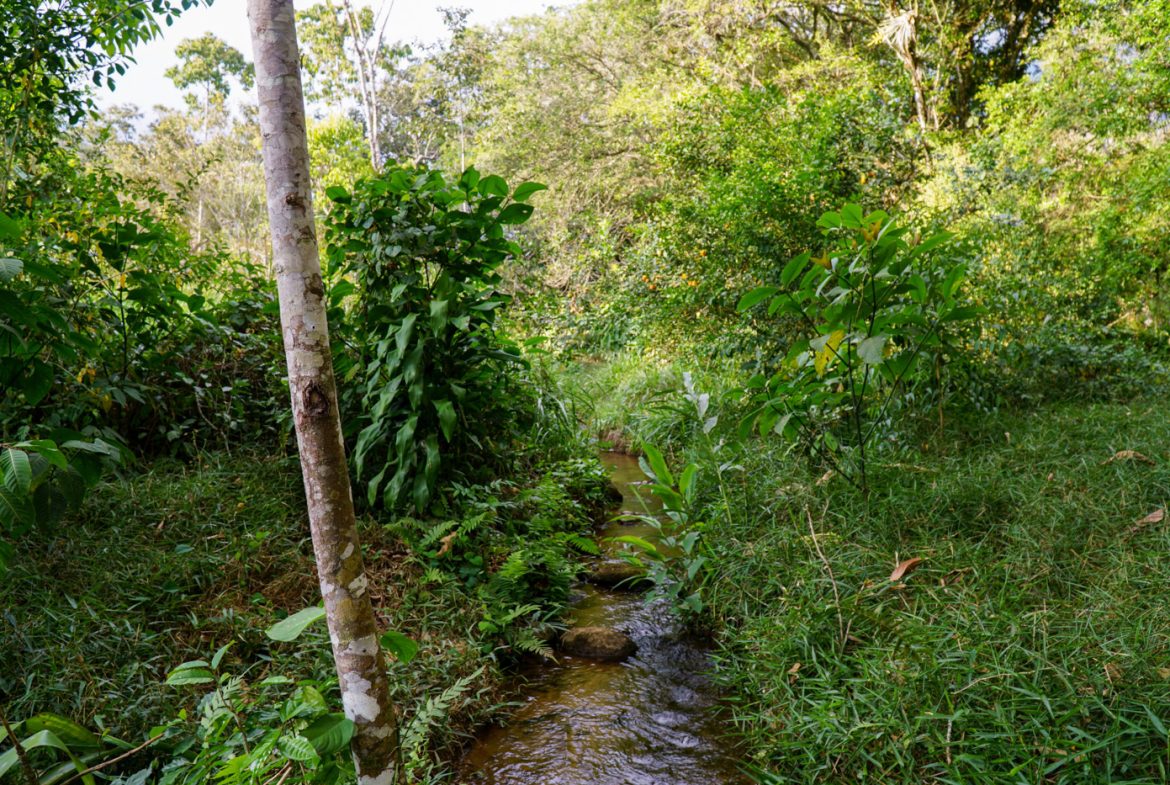 NEWLY BUILT 2 BEDROOM HOME WITH AMAZING MOUNTAIN VIEW, CREEK, RIVER AND FRUIT TREES – 6 ACRES