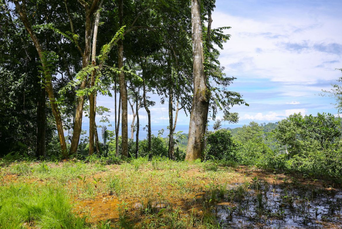 OCEAN VIEW LOTS  WITH OCEAN, JUNGLE AND MOUNTAIN VIEWS IN UVITA