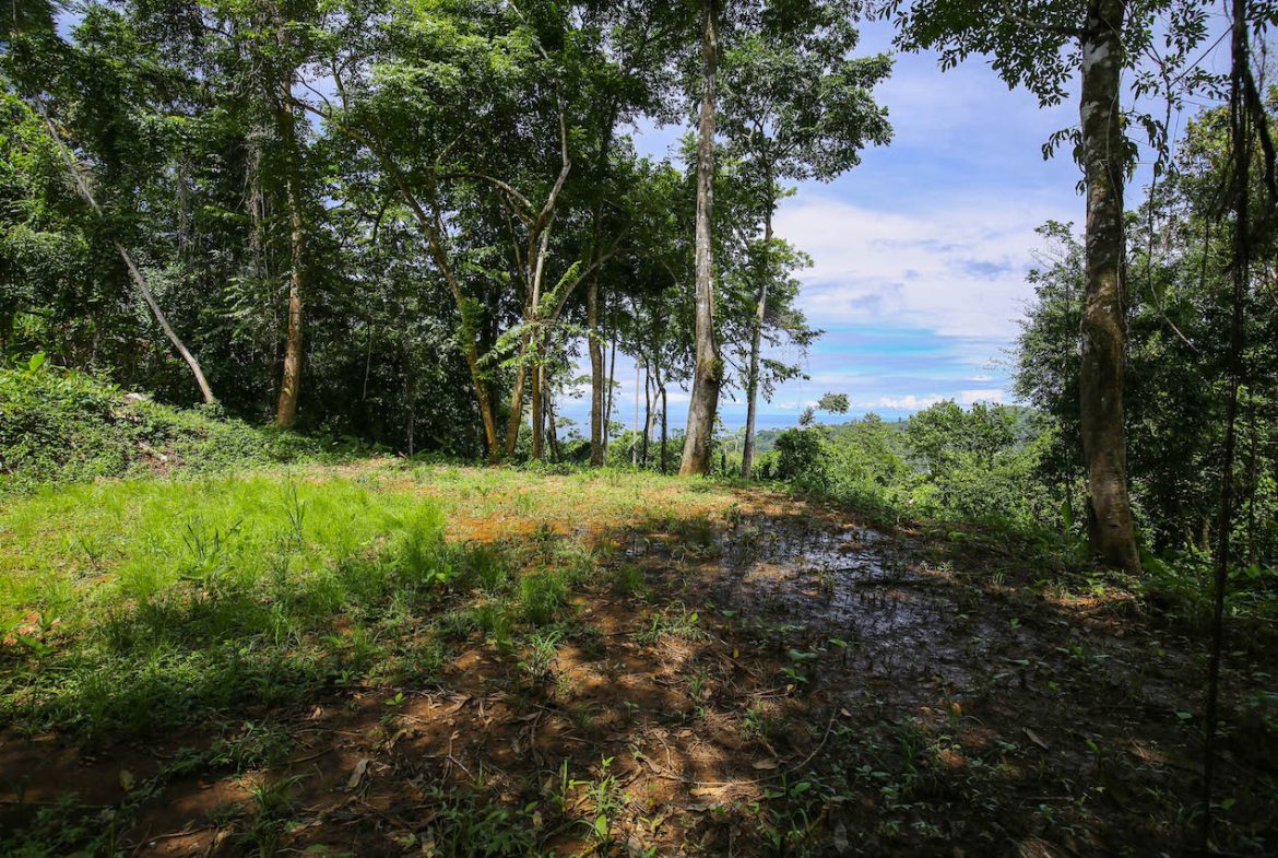 OCEAN VIEW LOTS  WITH OCEAN, JUNGLE AND MOUNTAIN VIEWS IN UVITA