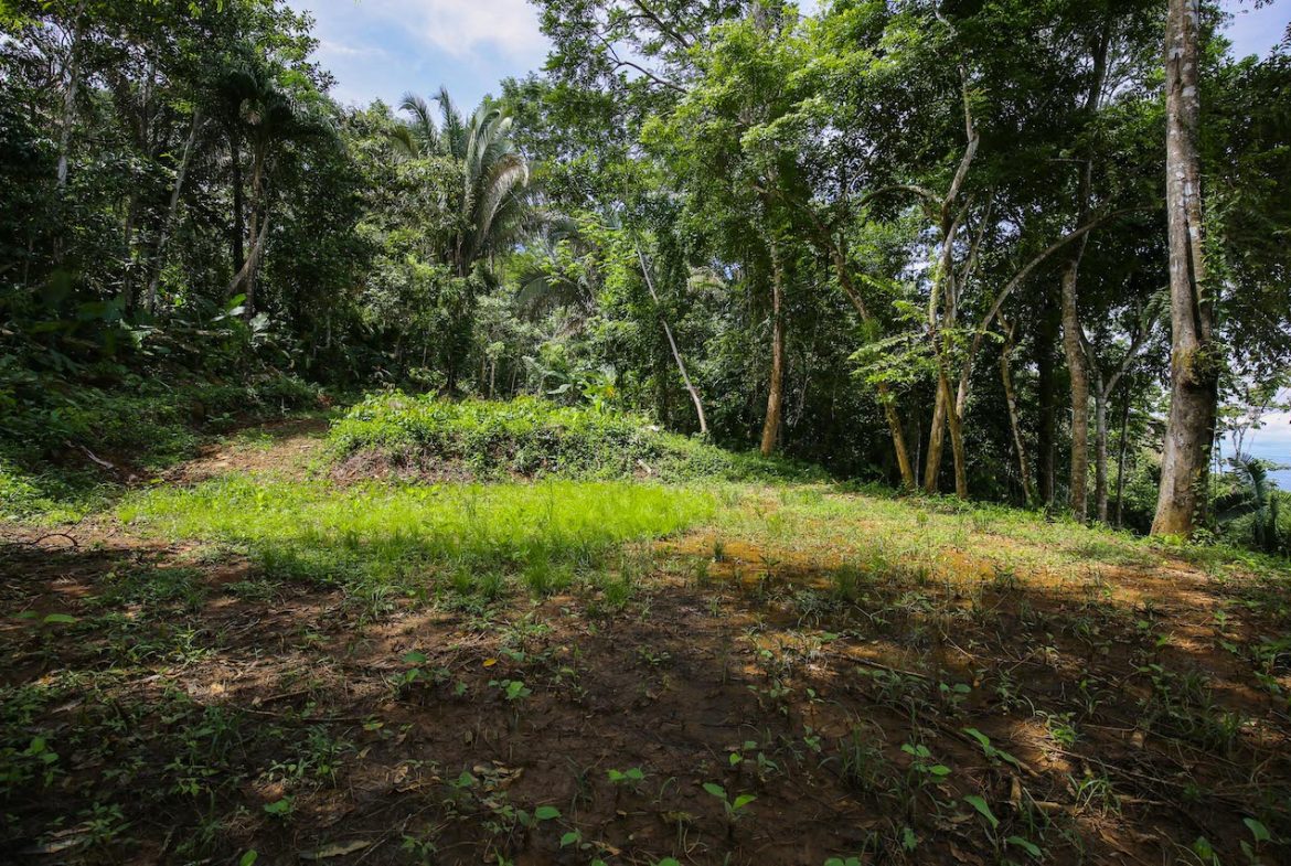 OCEAN VIEW LOTS  WITH OCEAN, JUNGLE AND MOUNTAIN VIEWS IN UVITA