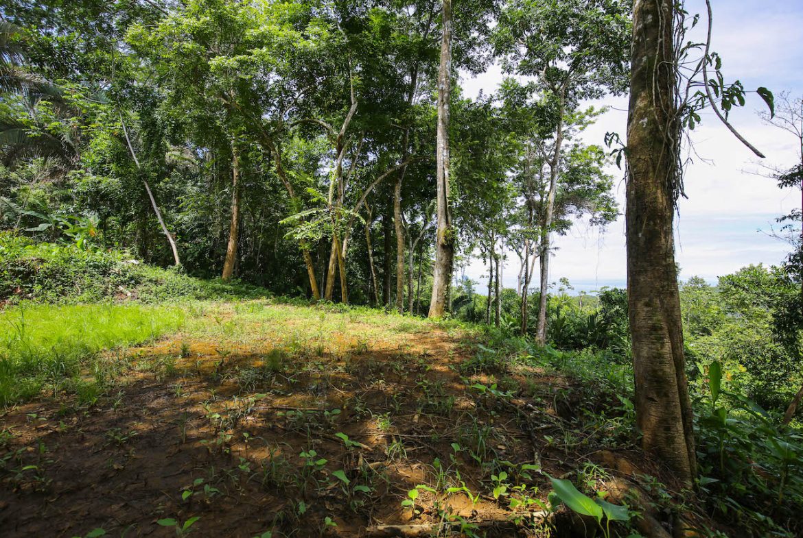 OCEAN VIEW LOTS  WITH OCEAN, JUNGLE AND MOUNTAIN VIEWS IN UVITA