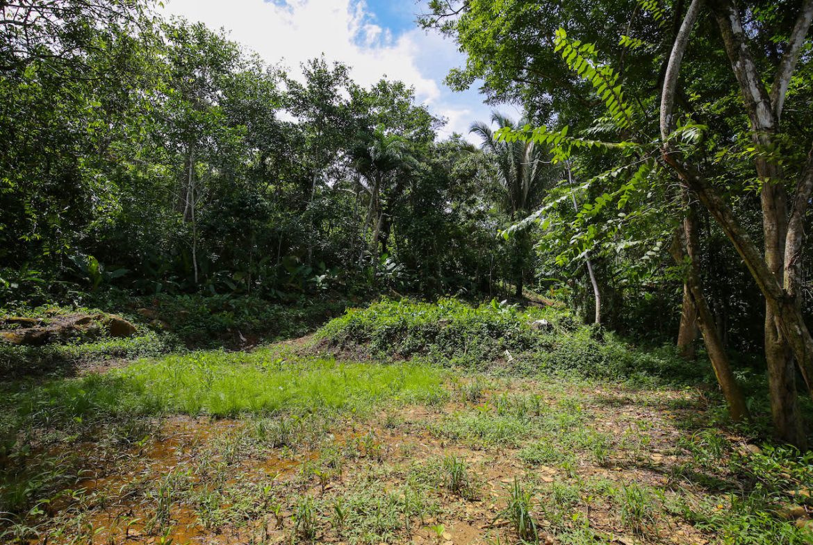 OCEAN VIEW LOTS  WITH OCEAN, JUNGLE AND MOUNTAIN VIEWS IN UVITA