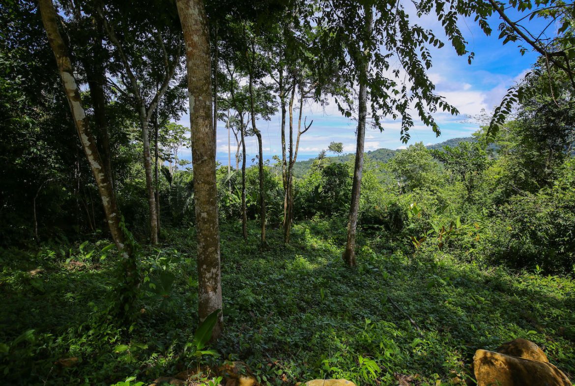 OCEAN VIEW LOTS  WITH OCEAN, JUNGLE AND MOUNTAIN VIEWS IN UVITA