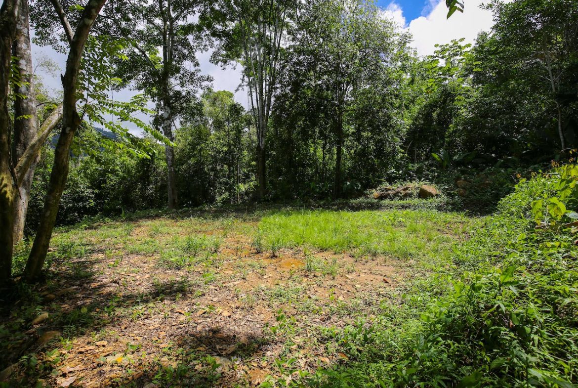 OCEAN VIEW LOTS  WITH OCEAN, JUNGLE AND MOUNTAIN VIEWS IN UVITA