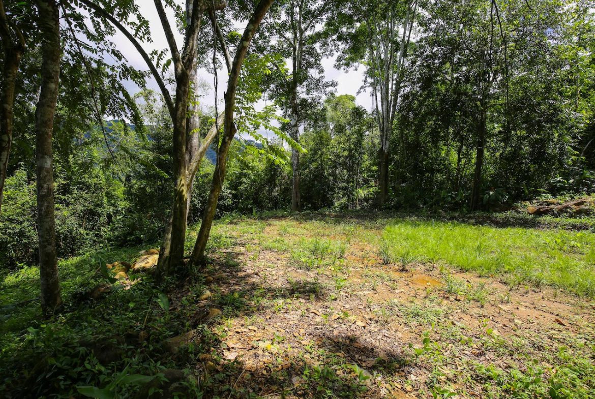 OCEAN VIEW LOTS  WITH OCEAN, JUNGLE AND MOUNTAIN VIEWS IN UVITA
