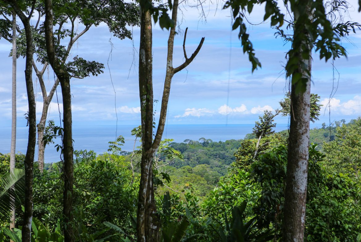 OCEAN VIEW LOTS  WITH OCEAN, JUNGLE AND MOUNTAIN VIEWS IN UVITA