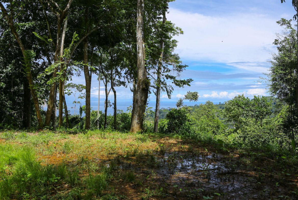 OCEAN VIEW LOTS  WITH OCEAN, JUNGLE AND MOUNTAIN VIEWS IN UVITA