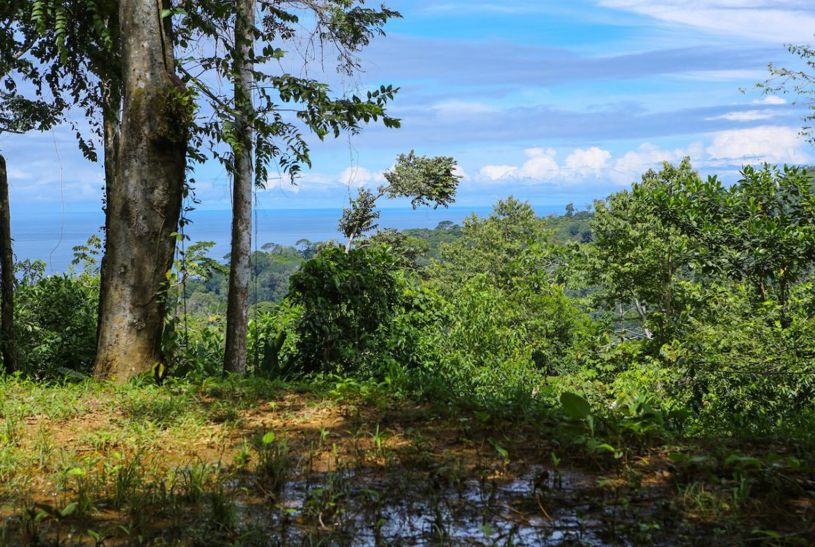 OCEAN VIEW LOTS  WITH OCEAN, JUNGLE AND MOUNTAIN VIEWS IN UVITA