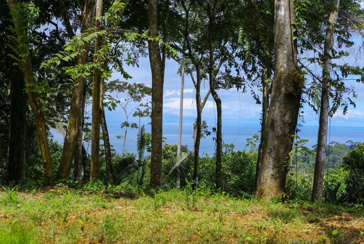 OCEAN VIEW LOTS  WITH OCEAN, JUNGLE AND MOUNTAIN VIEWS IN UVITA