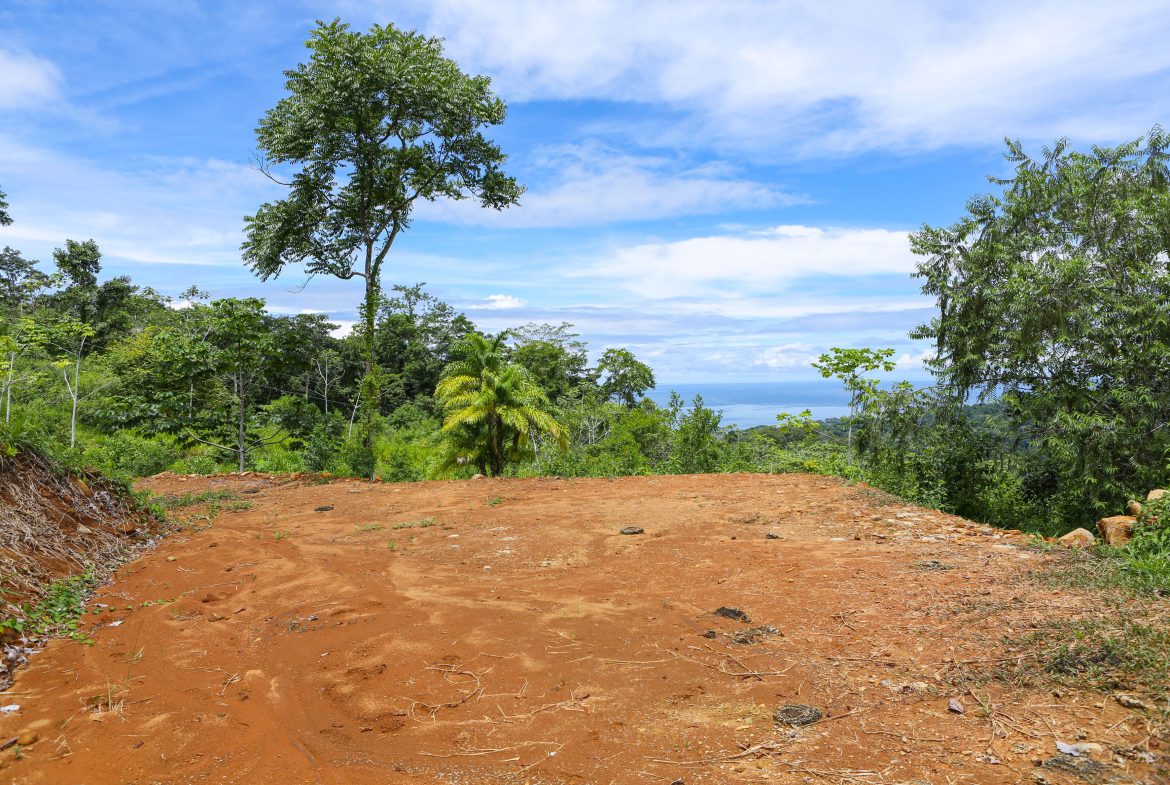 OCEAN VIEW LOTS  WITH OCEAN, JUNGLE AND MOUNTAIN VIEWS IN UVITA