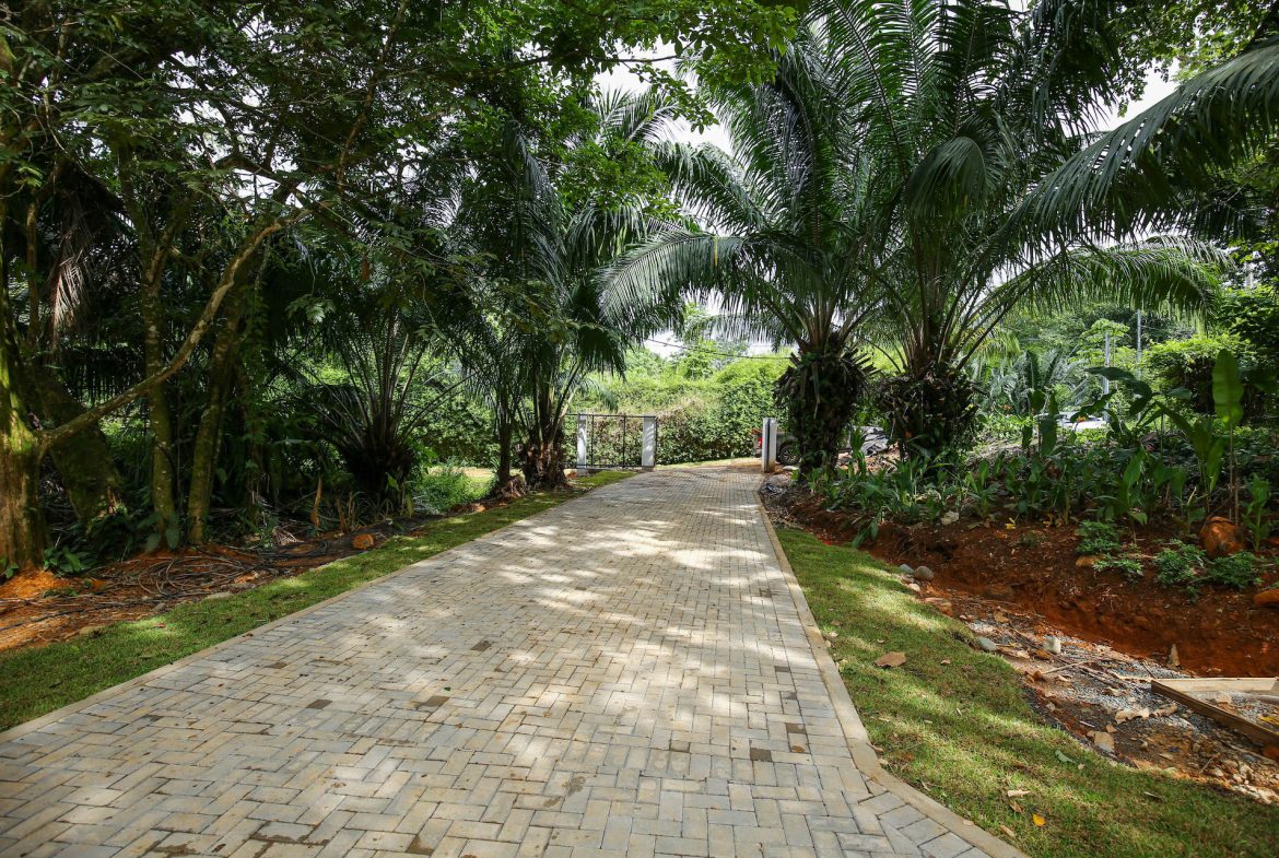 CASA PALMA VERDE – 3 Bedroom & 3 Bathroom Home with Bathtub and Big Pool – 0,71 ACRES