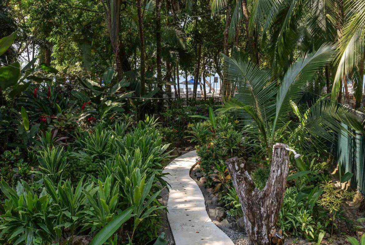 Beachfront Luxury Property Manuel Antonio