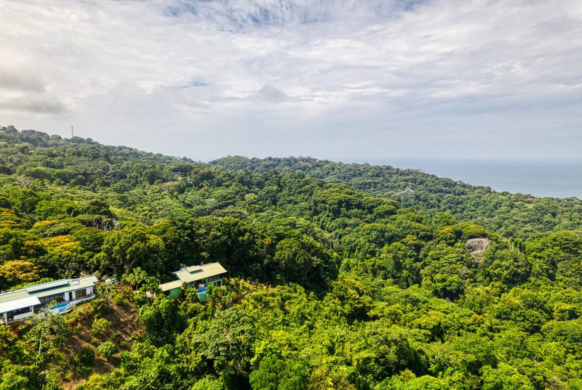 Best Views in Dominical – Home with Apartment and Infinity Pool – 1.47 Acres