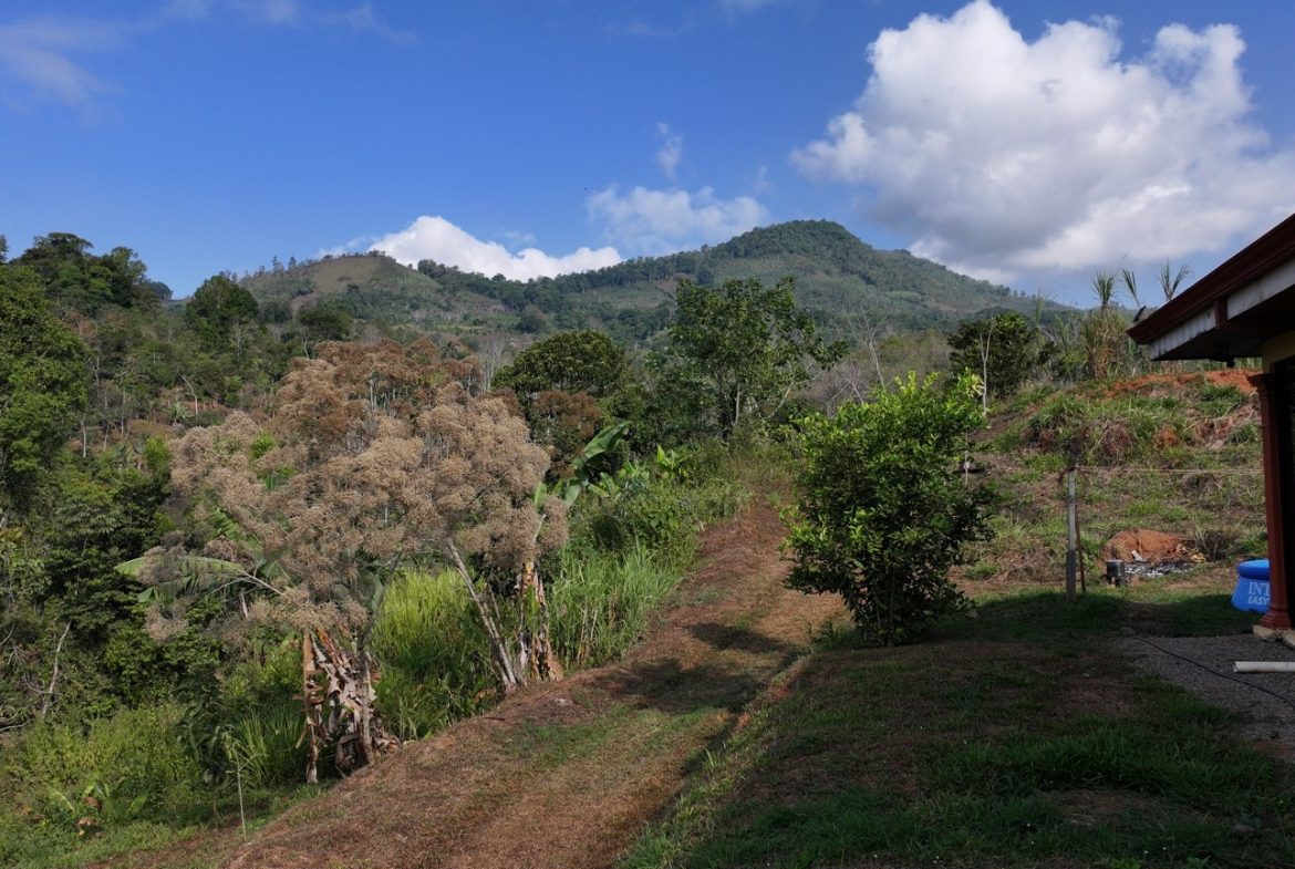 3 BEDROOM HOME IN A COOL CLIMATE WITH RIVER FRONTAGE – 1 ACRE