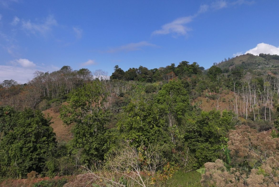 3 BEDROOM HOME IN A COOL CLIMATE WITH RIVER FRONTAGE – 1 ACRE