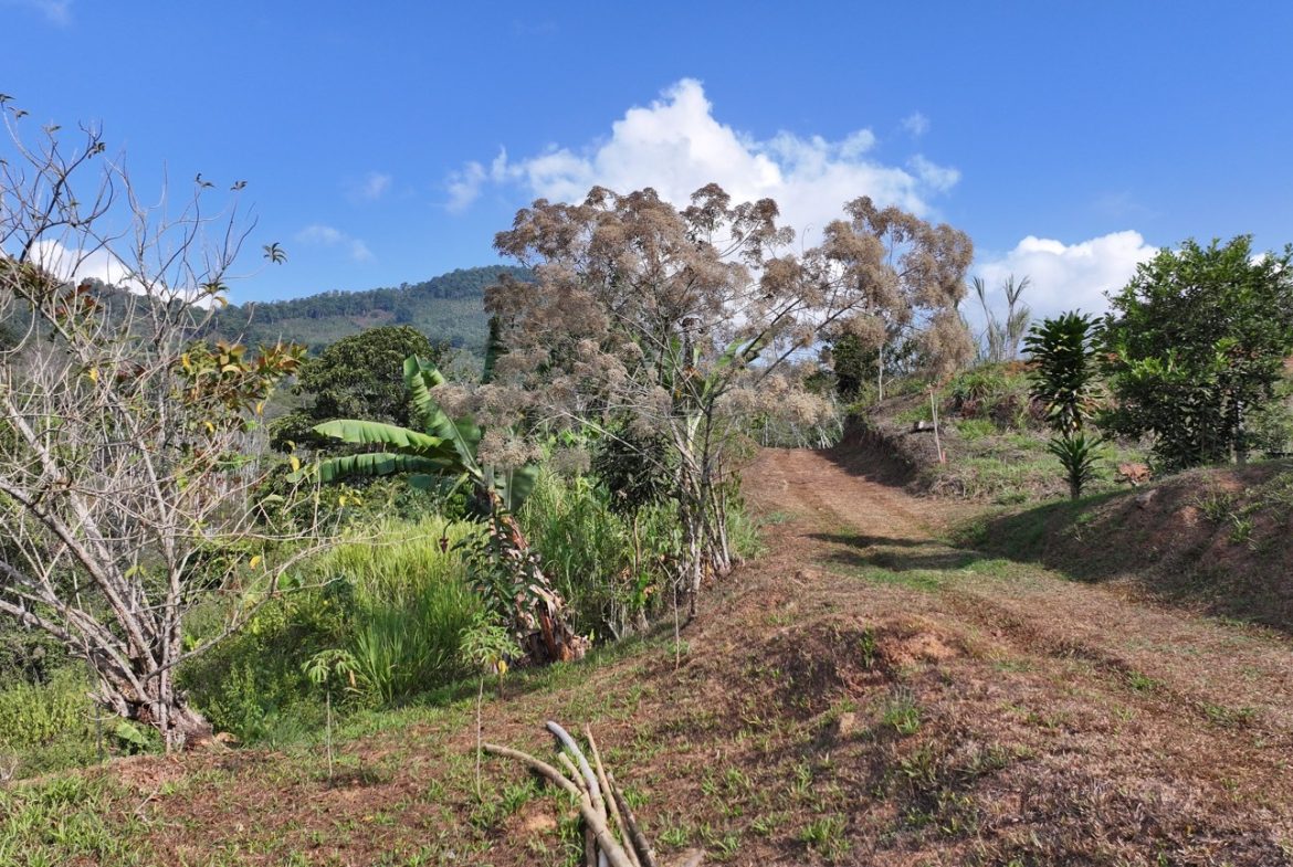 3 BEDROOM HOME IN A COOL CLIMATE WITH RIVER FRONTAGE – 1 ACRE