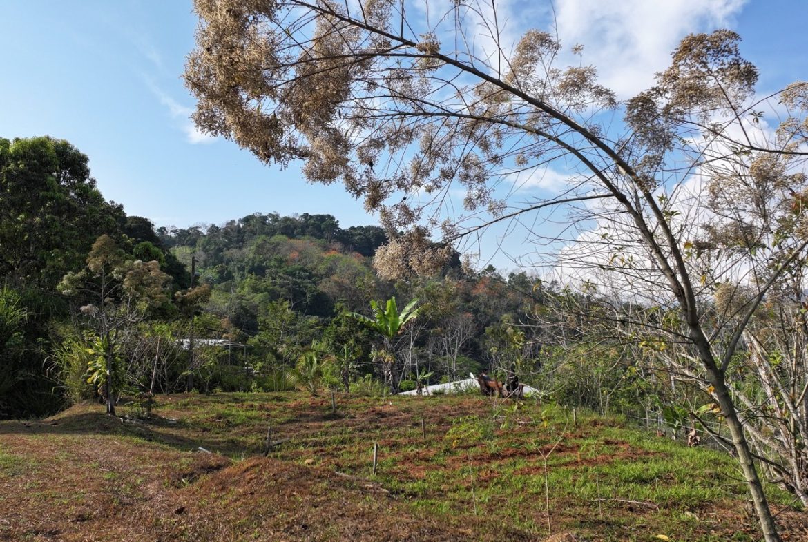 3 BEDROOM HOME IN A COOL CLIMATE WITH RIVER FRONTAGE – 1 ACRE