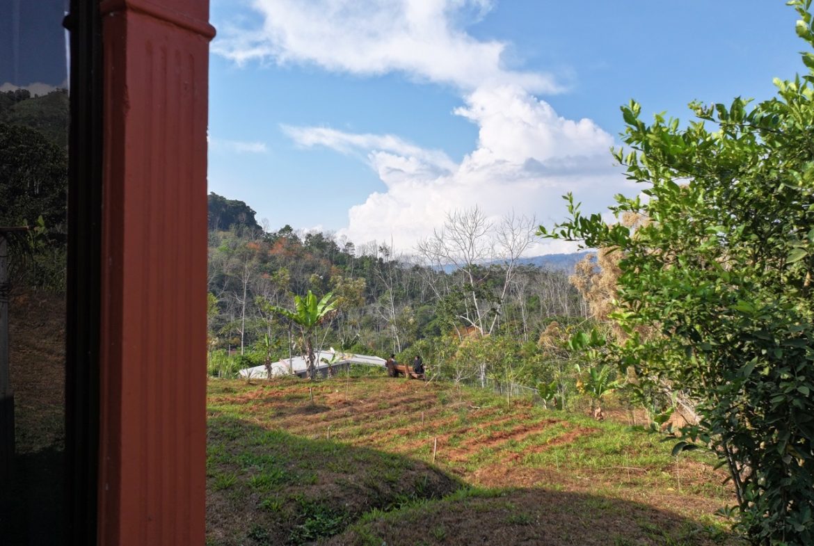 3 BEDROOM HOME IN A COOL CLIMATE WITH RIVER FRONTAGE – 1 ACRE