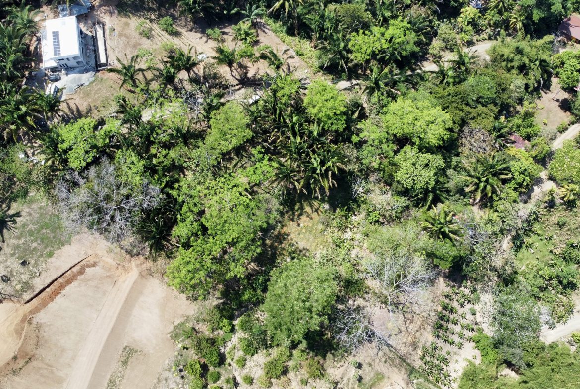 GREAT LOCATION LAND PARCEL IN PLAYA HERMOSA – 1.67 ACRES