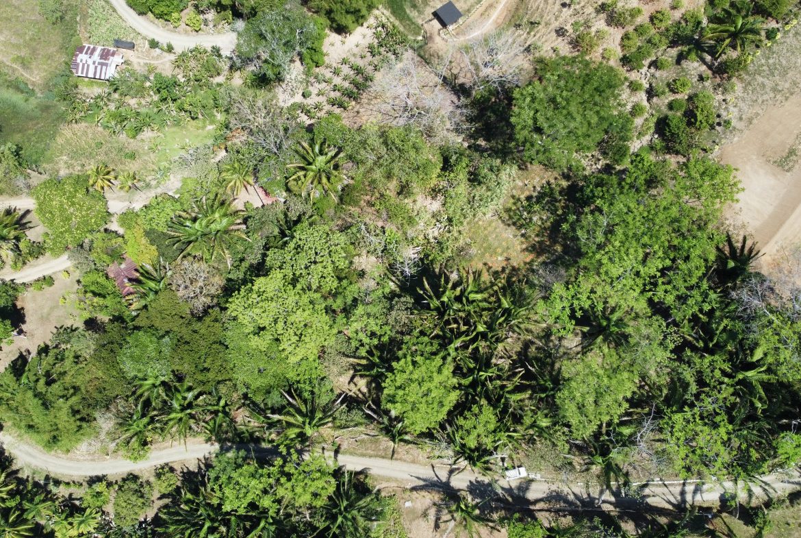 GREAT LOCATION LAND PARCEL IN PLAYA HERMOSA – 1.67 ACRES
