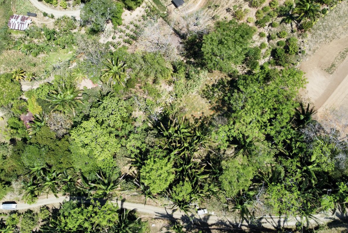 GREAT LOCATION LAND PARCEL IN PLAYA HERMOSA – 1.67 ACRES