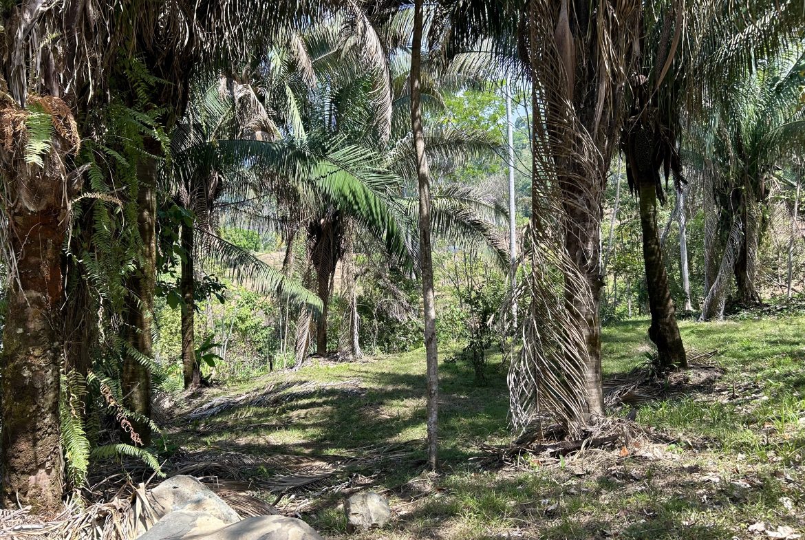 GREAT LOCATION LAND PARCEL IN PLAYA HERMOSA – 1.67 ACRES