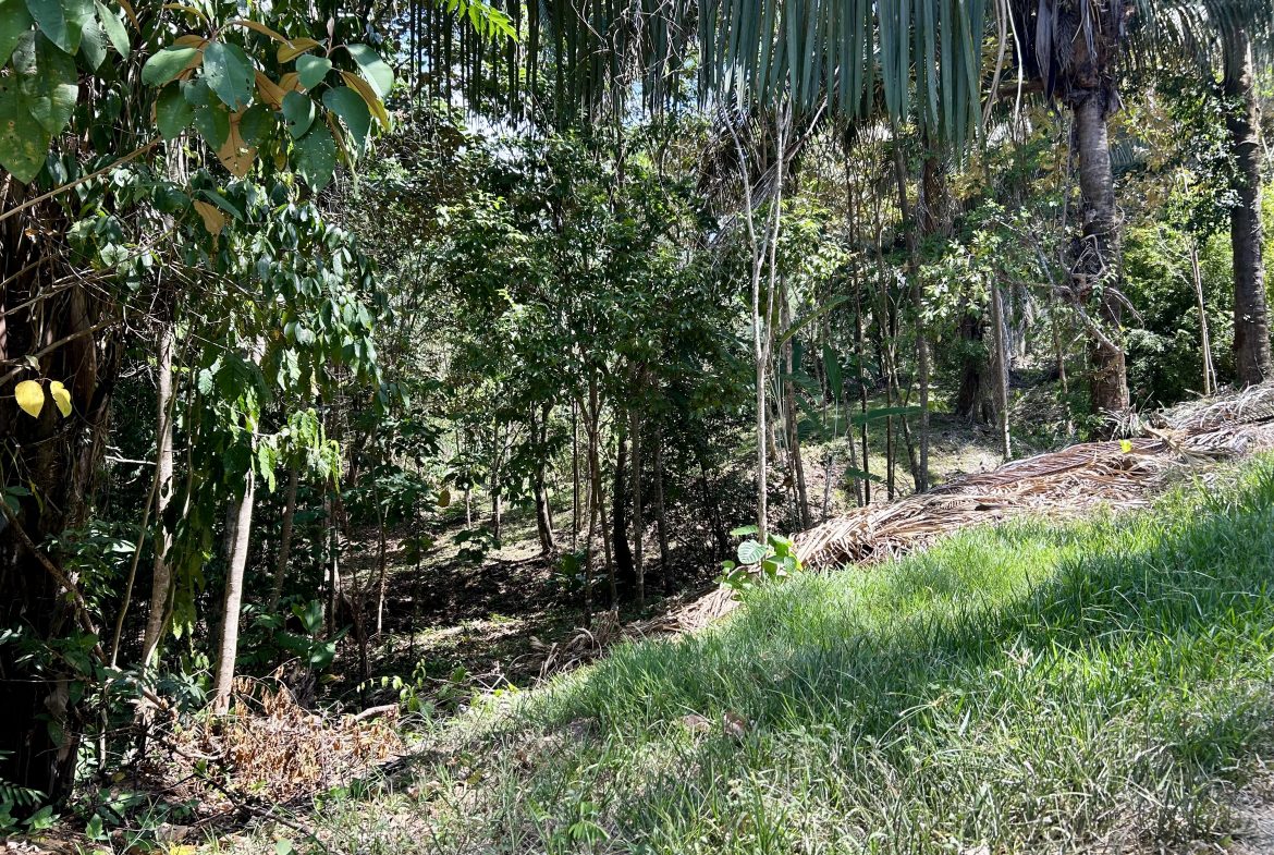 GREAT LOCATION LAND PARCEL IN PLAYA HERMOSA – 1.67 ACRES