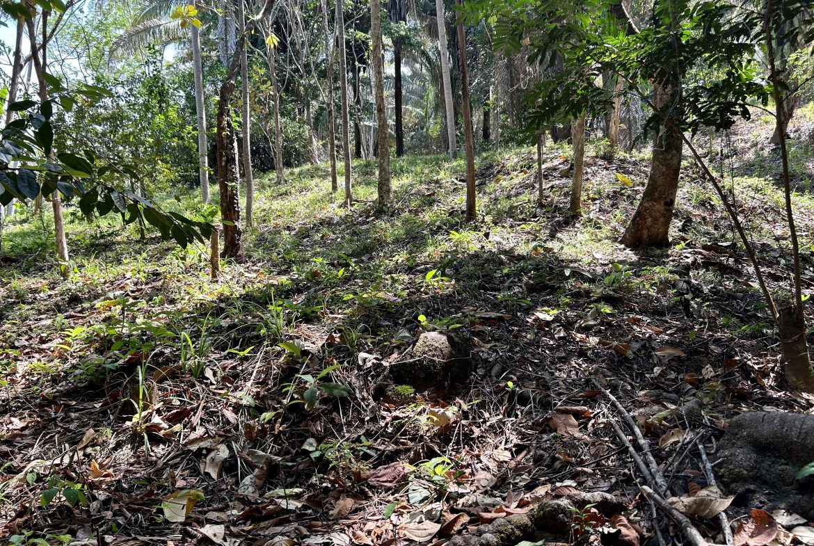 GREAT LOCATION LAND PARCEL IN PLAYA HERMOSA – 1.67 ACRES