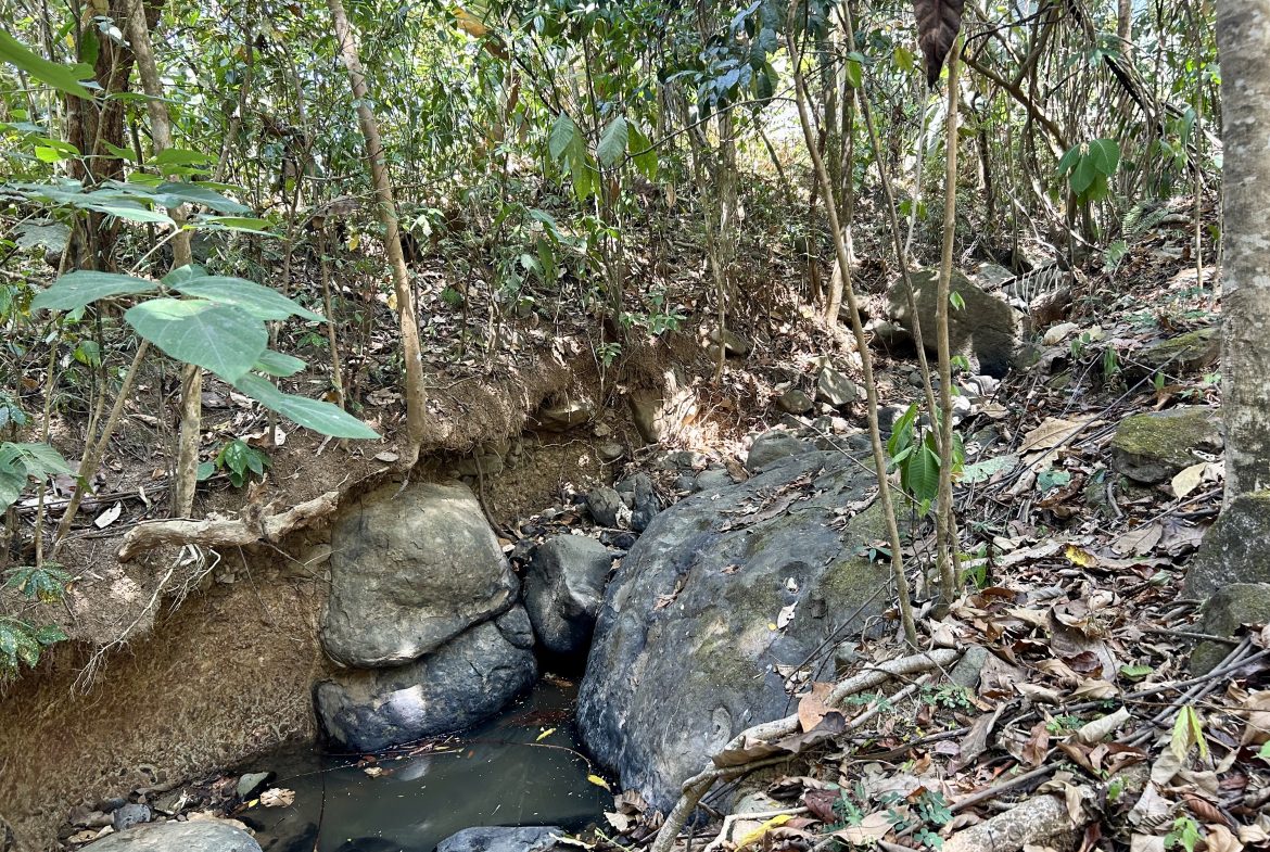 GREAT LOCATION LAND PARCEL IN PLAYA HERMOSA – 1.67 ACRES