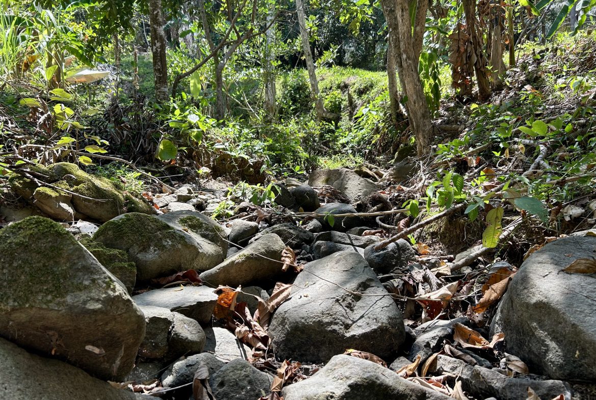 GREAT LOCATION LAND PARCEL IN PLAYA HERMOSA – 1.67 ACRES