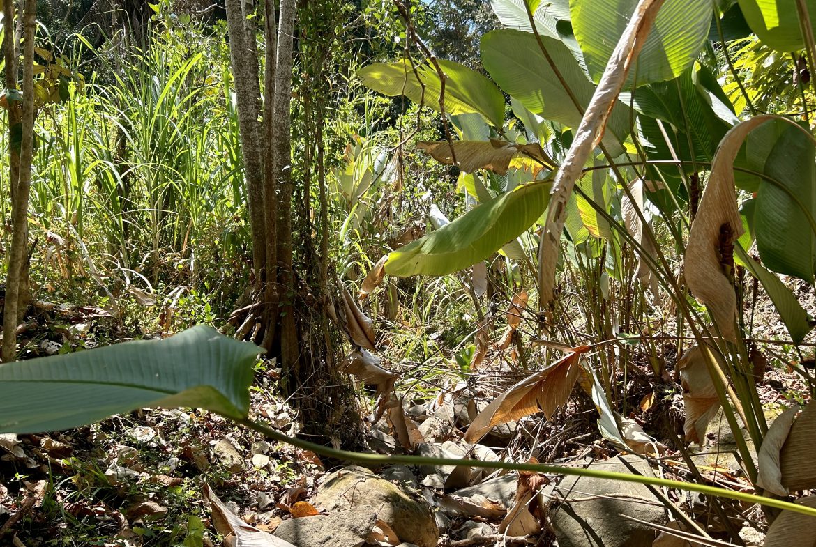 GREAT LOCATION LAND PARCEL IN PLAYA HERMOSA – 1.67 ACRES
