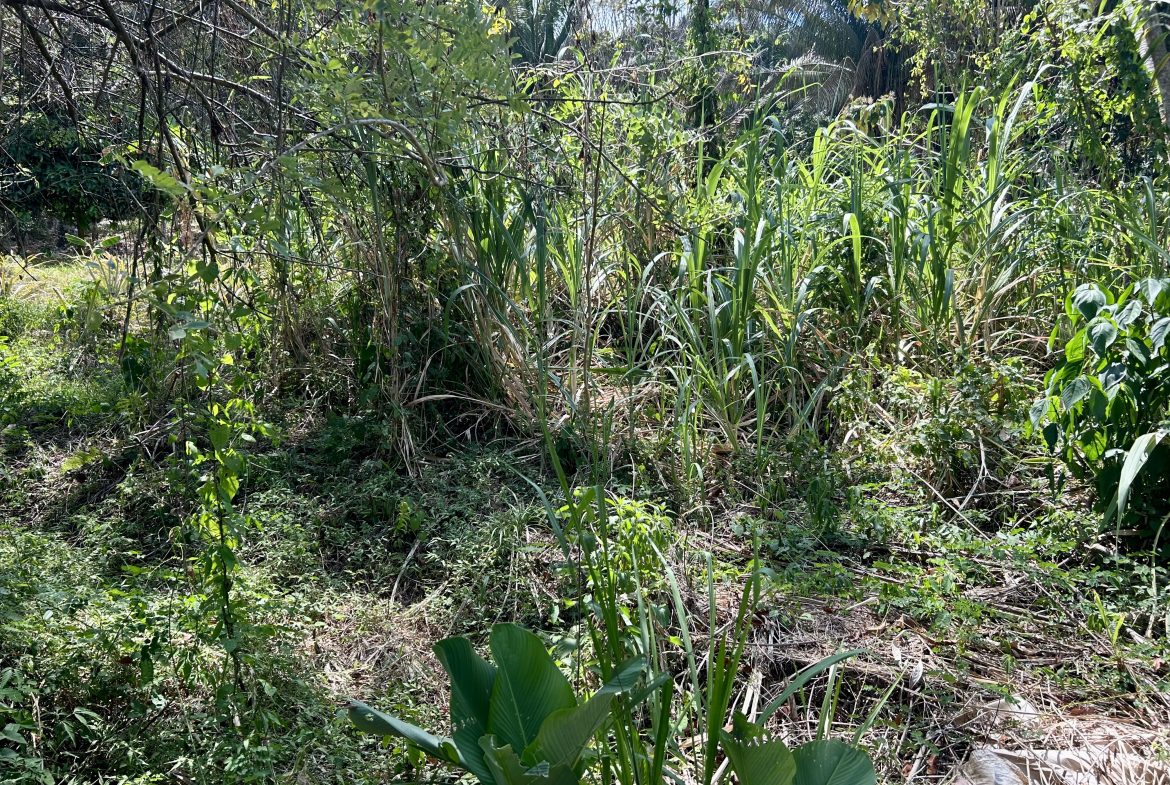 GREAT LOCATION LAND PARCEL IN PLAYA HERMOSA – 1.67 ACRES