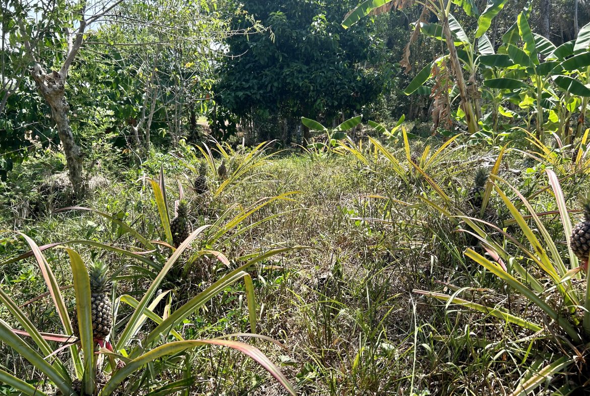 GREAT LOCATION LAND PARCEL IN PLAYA HERMOSA – 1.67 ACRES