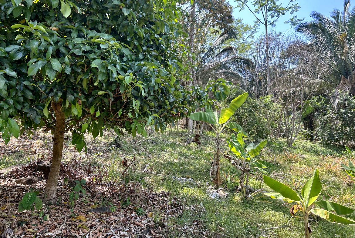 GREAT LOCATION LAND PARCEL IN PLAYA HERMOSA – 1.67 ACRES